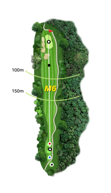 ����ƾ 6Ȧ �׸�