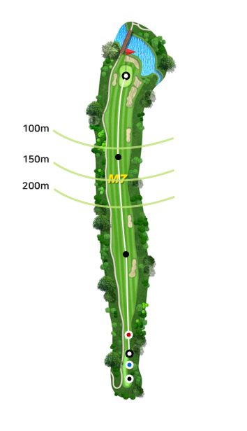 ����ƾ 7Ȧ �׸�